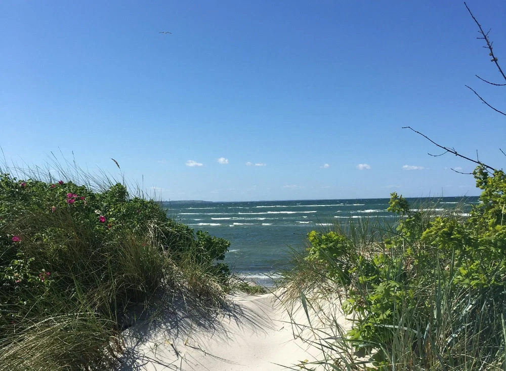 Natururlaub an der Ostsee mit Hotelgutscheinen von Animod