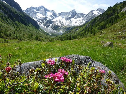 Die österreichischen Alpen mit Ihrem Hotelgutschein erleben