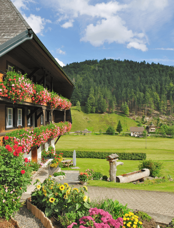 Hotelgutschein für den Schwarzwald