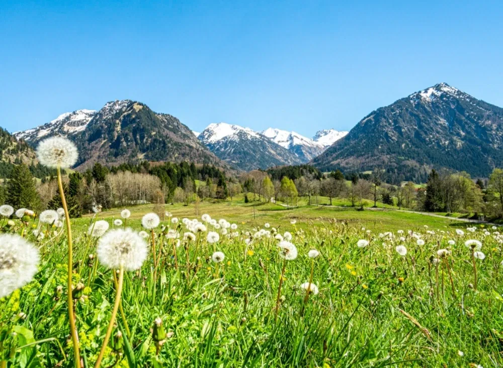 Die Allgäuer Berge und Natur bieten Ihnen ein einzigartiges Erlebnis 