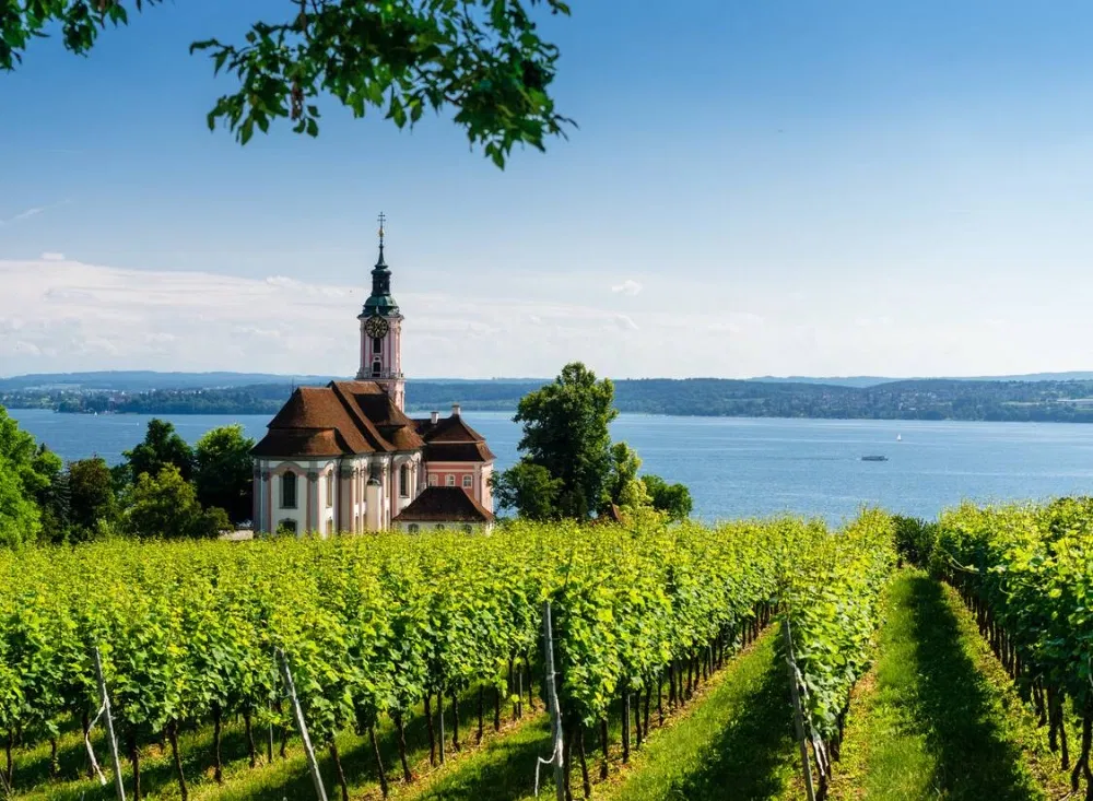 Von den Weinbergen gelangen Sie direkt zum Bodensee