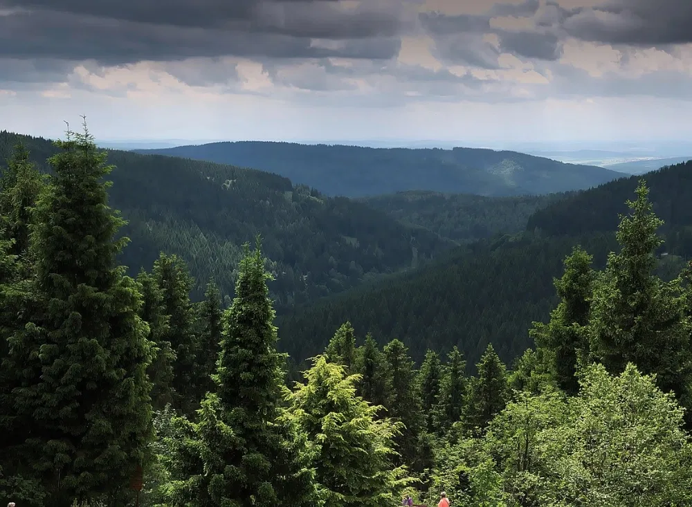 Den Thüringer Wald im Eisenach-Kurzurlaub genießen