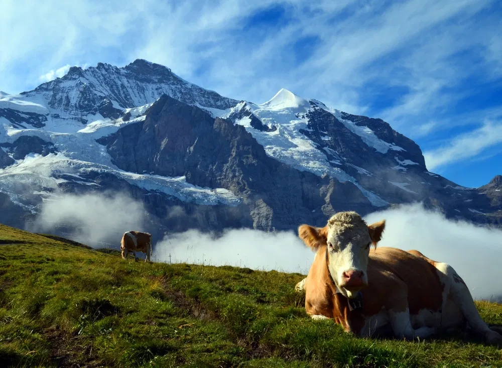 Alpenidyll im Kurzurlaub in Europa erleben