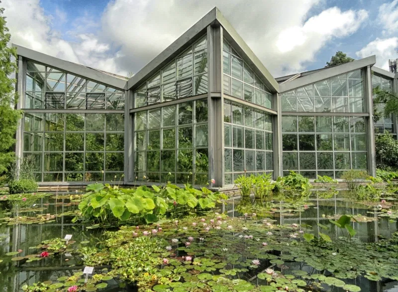 Den Palmengarten in Frankfurt im Kurzurlaub erleben