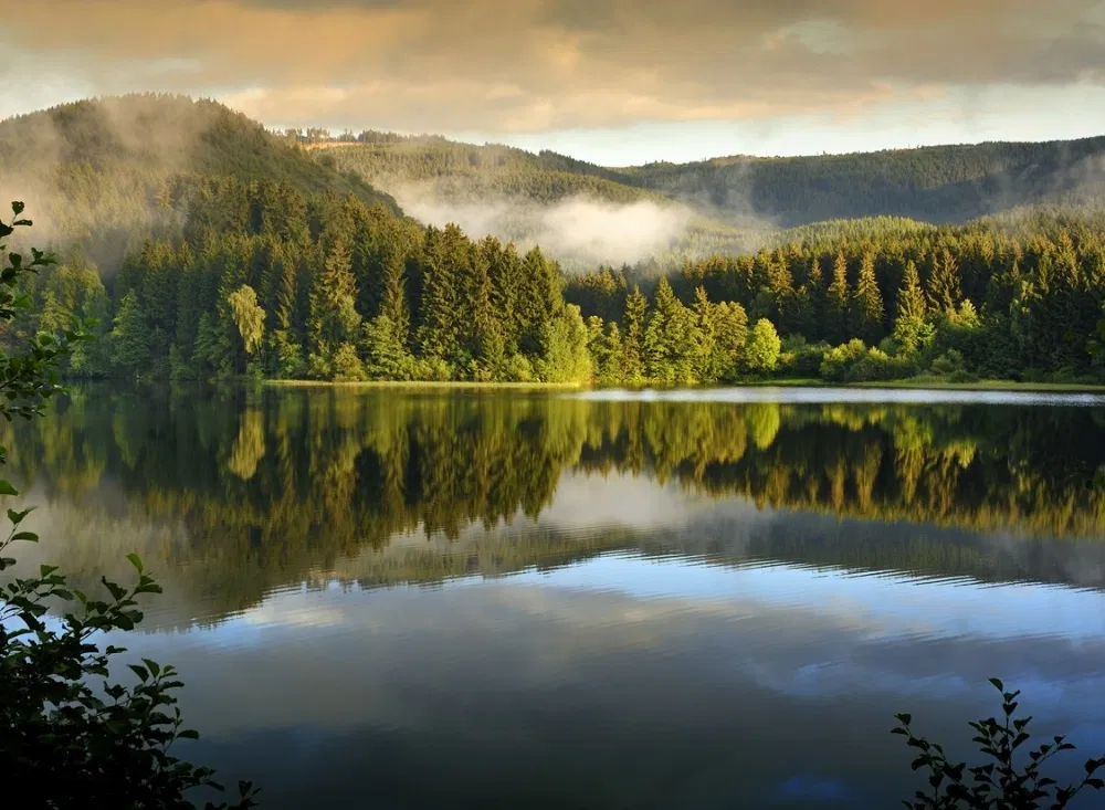 Spaziergänge an Seen im Kurzurlaub im Harz
