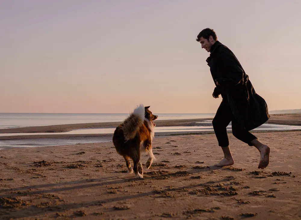 Ein Kurzurlaub mit Hund am Meer