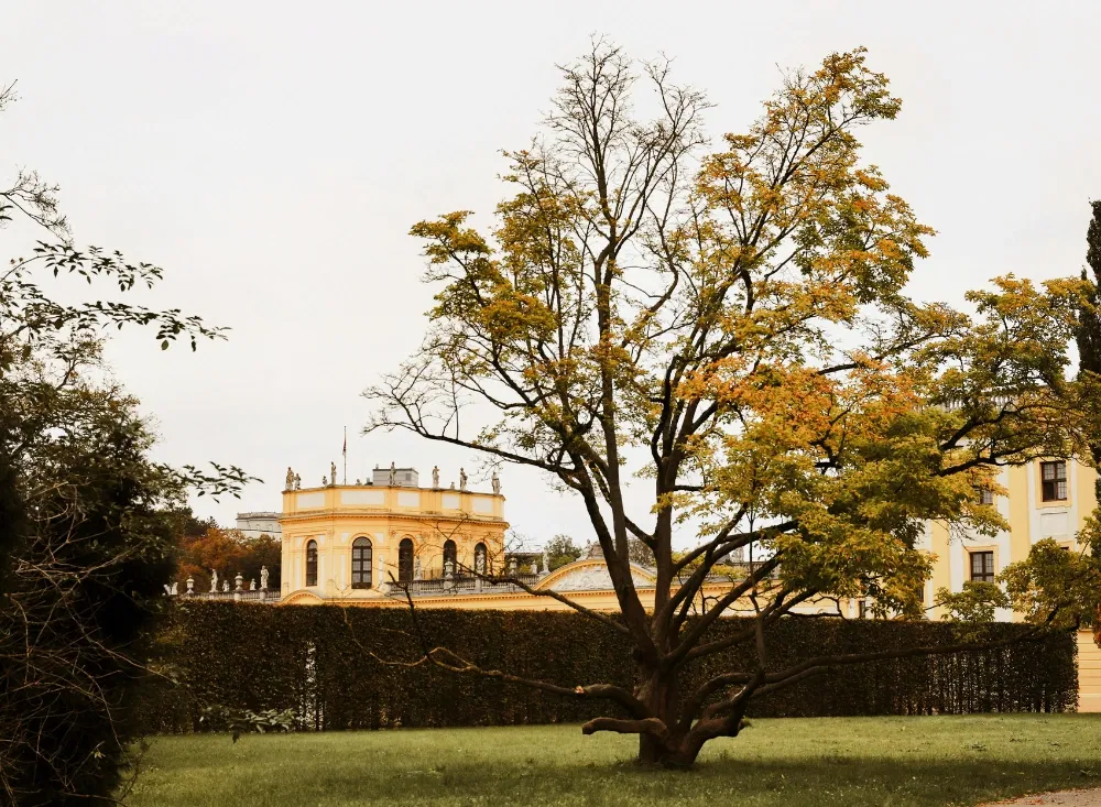 Orangerie im Kurzurlaub in Kassel