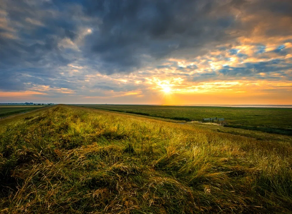Auf den Deichen der Nordseeregion lassen sich lange Spaziergänge genießen