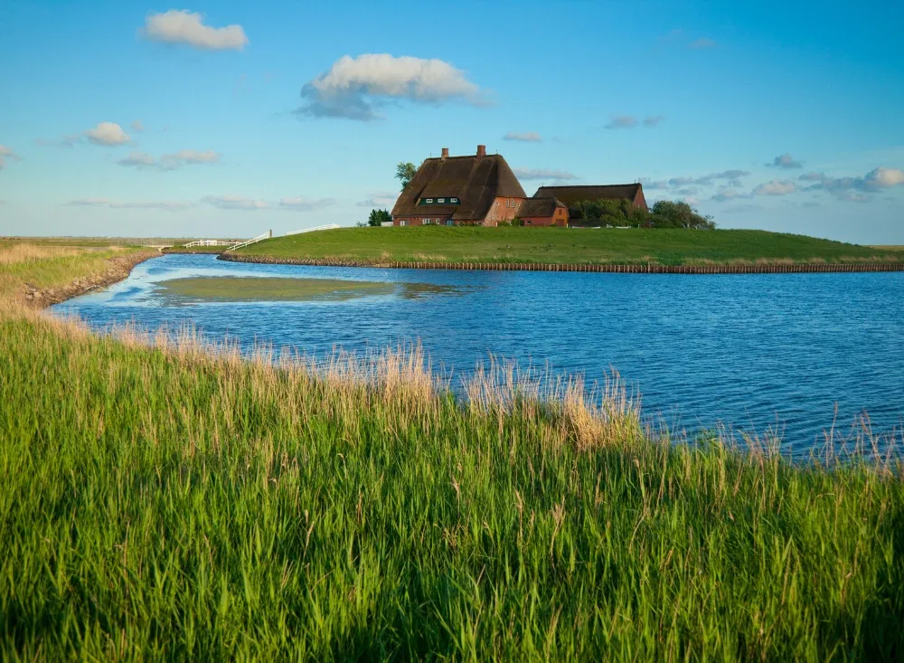 Im Kurzurlaub an der Nordsee eine Hallig besuchen