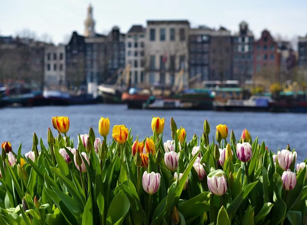 Schwimmender Blumenmarkt auf der Städtereise Amsterdam
