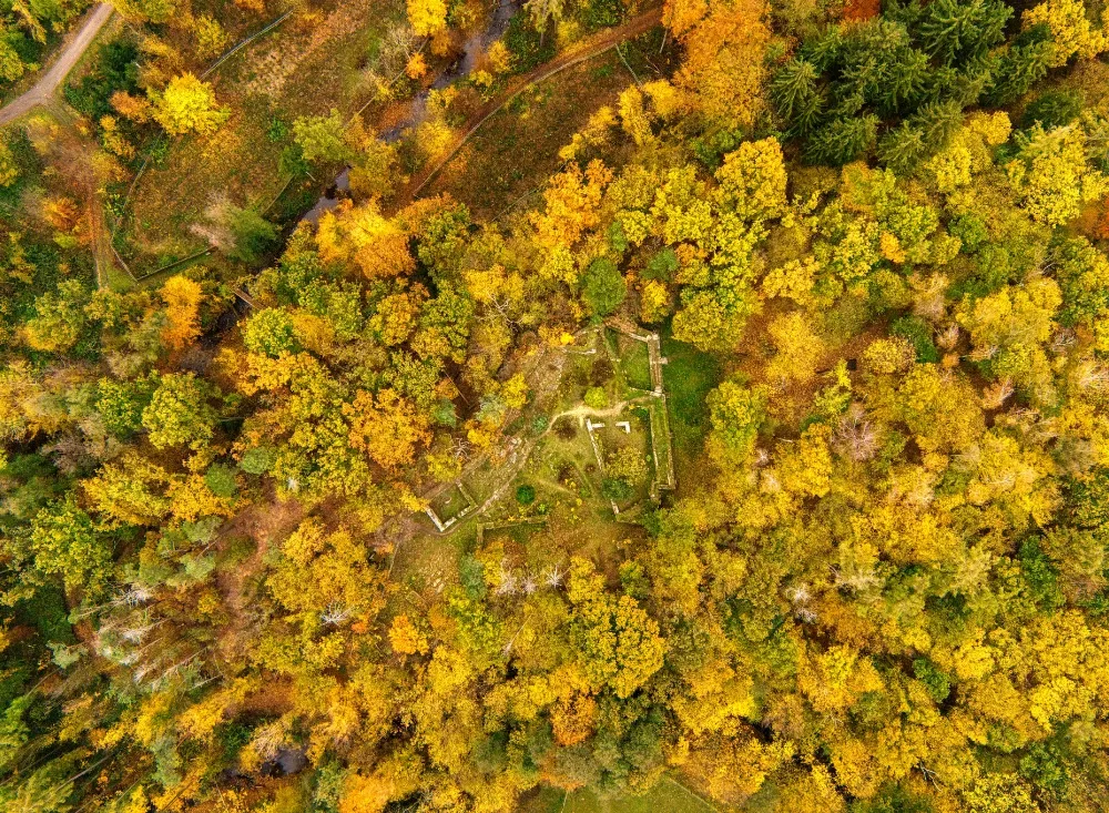 Wälder und andere Naturschönheiten im Tschechien-Urlaub bewundern