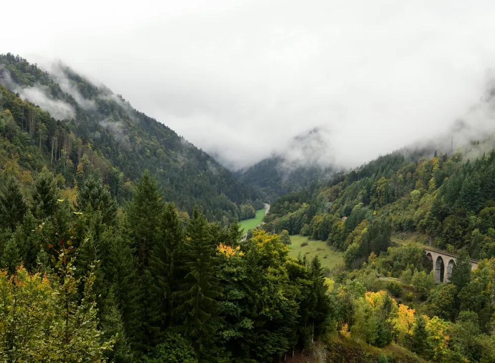 Wellness Kurzurlaub im Schwarzwald