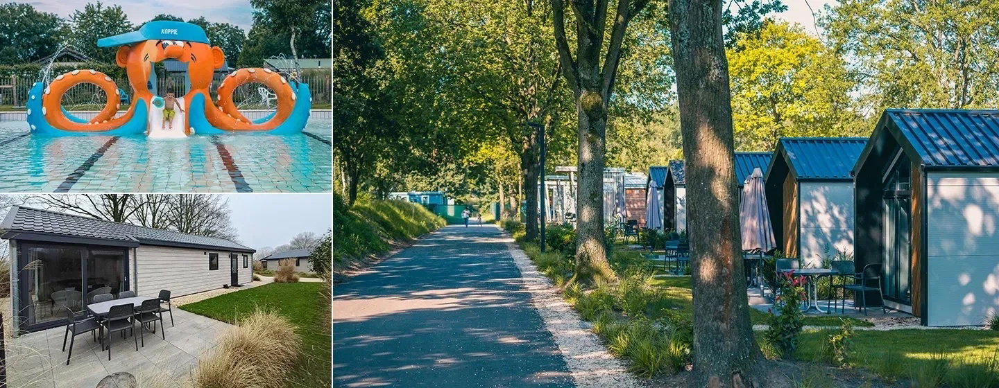 Erlebnisreicher Kurzurlaub zwischen Wald, Stadt und Freizeitpark