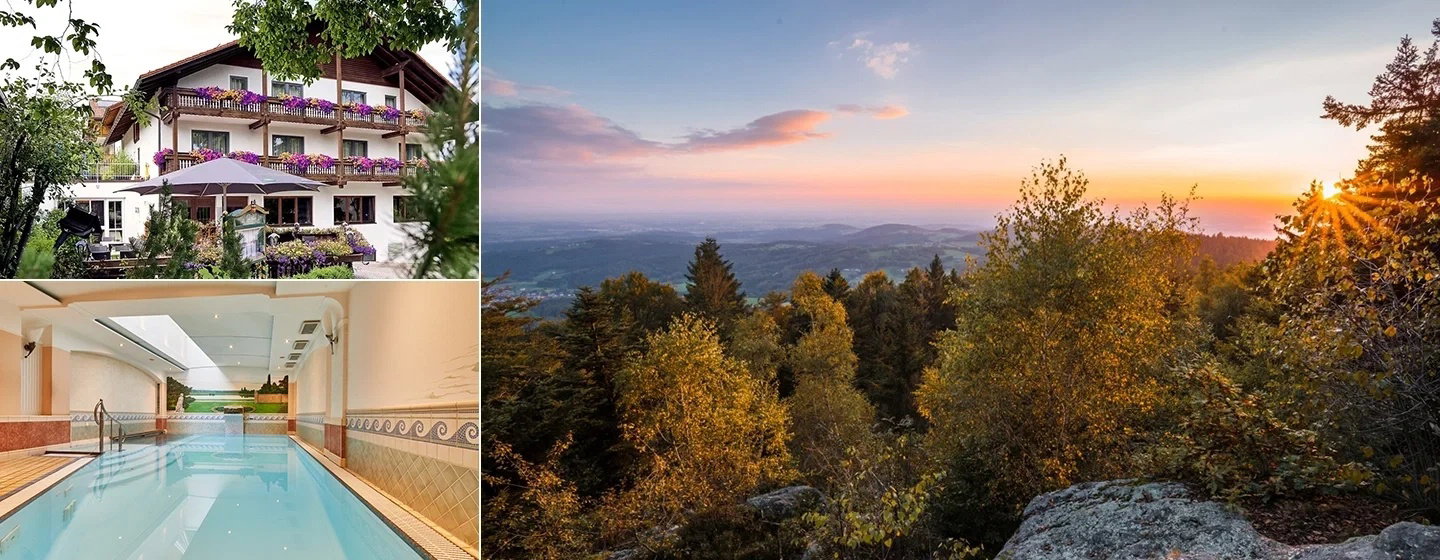 Baumwipfel, Gipfelblicke und Wellness am Bayerischen Wald