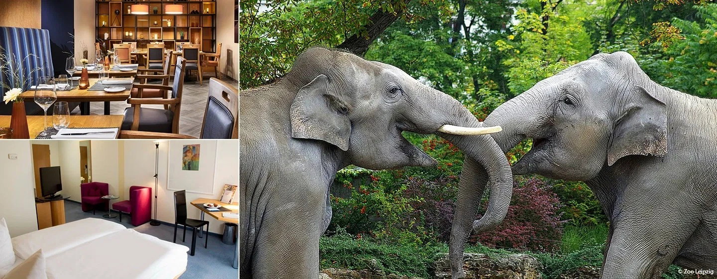 Entdecken Sie Leipzig im First-Class Hotel inkl. Leipziger Zoo