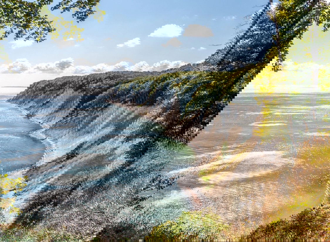 Wohlfühloase auf Rügen: Entspannen & Genießen im Apartment mit Halbpension