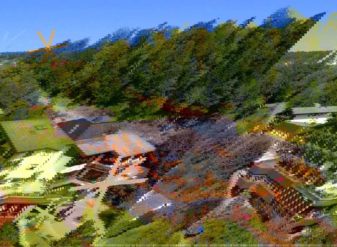 SPECIAL: Wellness im Schwarzwald - Kurzurlaub im Waldhotel 