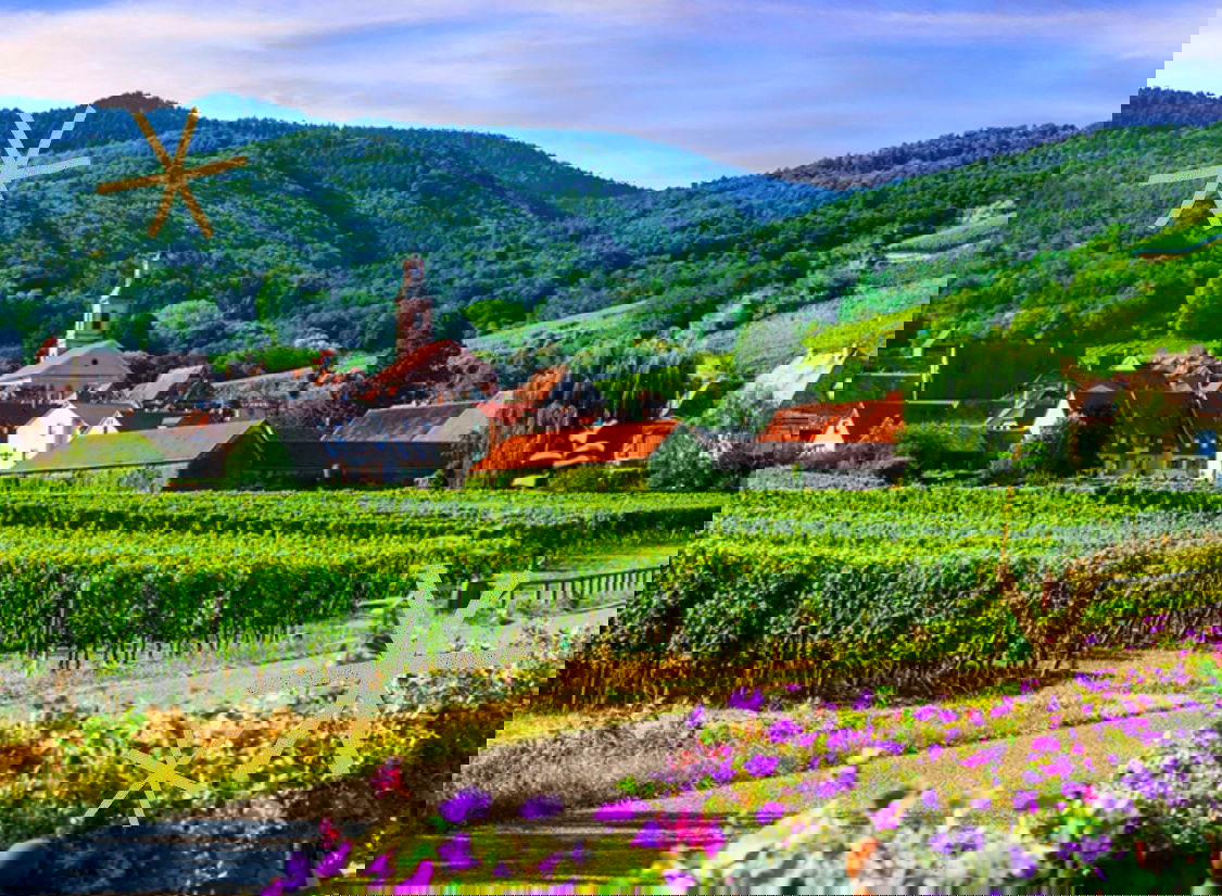 SPECIAL: Weingenuss im Elsass - 3* Hotel inkl. Wellness & Weinprobe