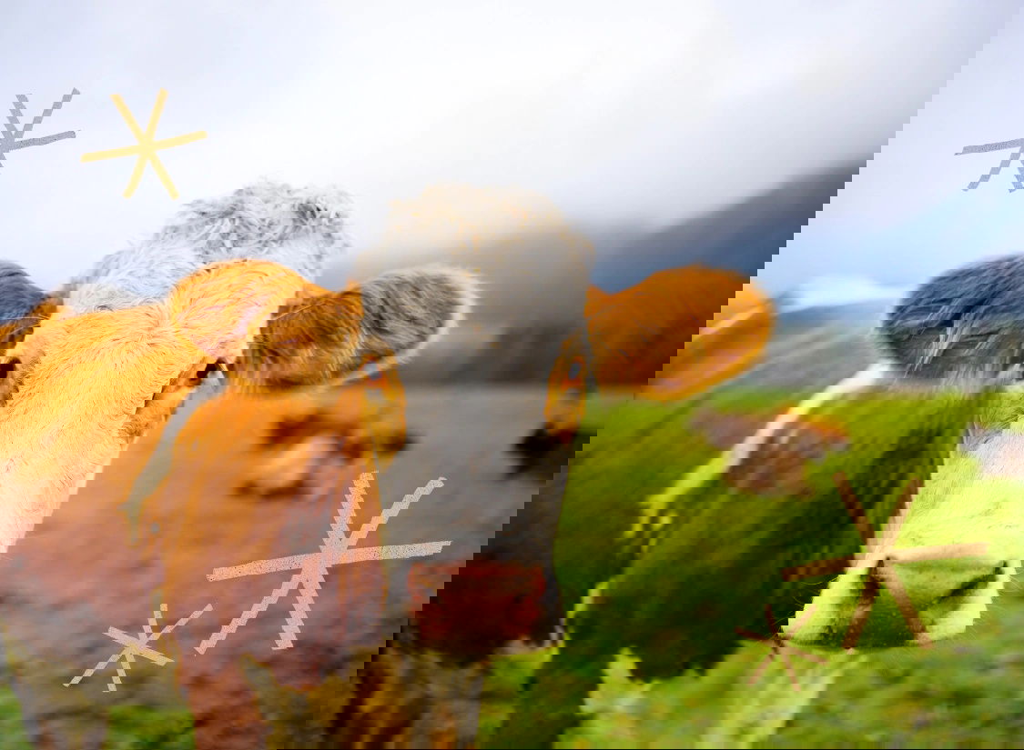 SPECIAL: Kaufbeuren im Allgäu - Altstadt und grüne Voralpen-Wiesen