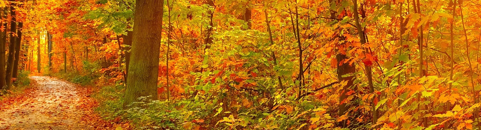 Kurzurlaub im Herbst