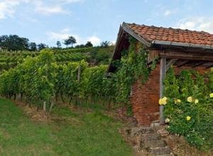 Hotel Freigericht Sehenswuerdigkeit