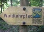 Sockenbacher Wandern