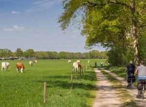 Hotel Resort Bad Boekelo neu