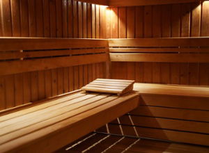 Hotel Resort Bad Boekelo neu