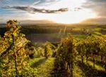 Kraichgau shutterstock