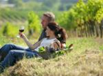 Weinberge
