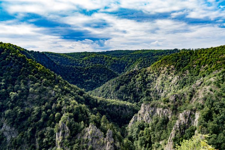 Harz Berglandschaft