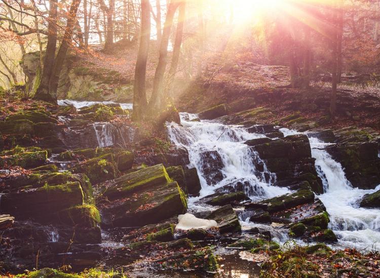 Harz Wasserfall
