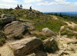 Harz