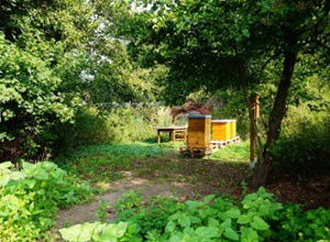 Hotel am Tierpark Guestrow