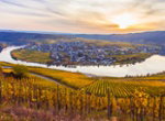 1125x825 shutterstock