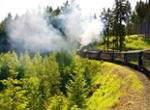 Natur und Zug im Harz
