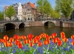 Amsterdam Grachten und Tulpen