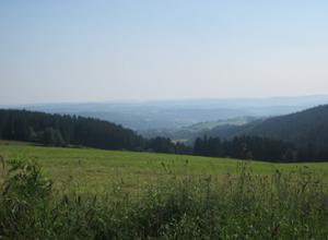 Hotelpension zur Laerche Natur