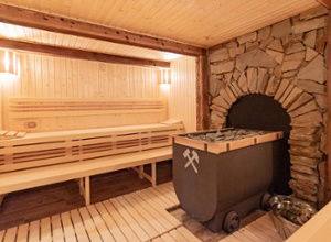 Astoria Wellness Hotel Jachymov