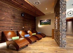 Astoria Wellness Hotel Jachymov