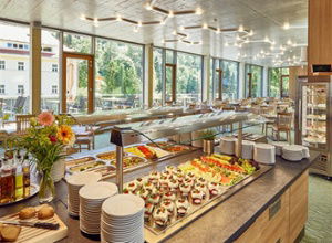 Astoria Wellness Hotel Jachymov