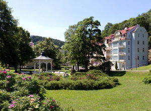 Astoria Wellness Hotel Jachymov
