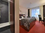 11458 Park Hotel Morris Novy Bor