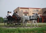JUFA Hotel Celldoemoelk