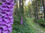 Schwarzbachtal Natur