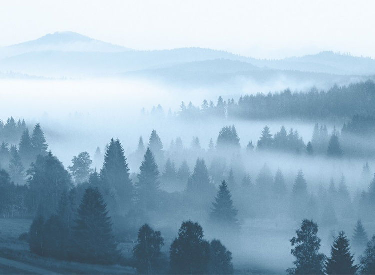 Atemberaubender Böhmischer Wald - Modernes Comfort Studio im Natur Resort