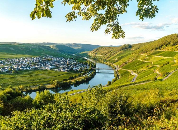 Romantische Auszeit an der Mosel zwischen den Weinbergen inkl. Weinverkostung