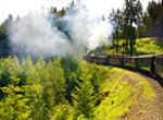 Stockfotos Harz