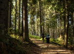 Stockfotos Schwarzwald