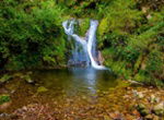 Stockfotos Schwarzwald